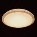 Потолочный светодиодный светильник с пультом ДУ MW-Light Ривз 674012601