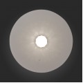 Потолочный светодиодный светильник ST Luce Alcosa SL931.102.01