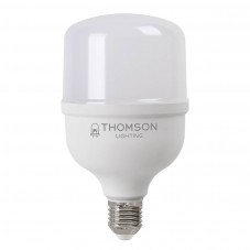 Лампа светодиодная Thomson E27 30W 6500K цилиндр матовая TH-B2364