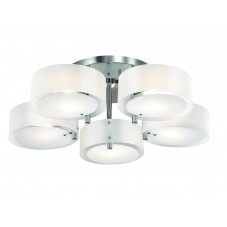Потолочная люстра ST Luce Foresta SL483.502.05