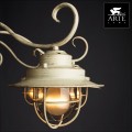 Потолочная люстра Arte Lamp 6 A4579PL-8WG