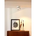 Светодиодный спот Lucide Mitrax Led 33157/10/31
