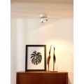 Светодиодный спот Lucide Mitrax Led 33157/10/31
