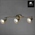 Спот Arte Lamp Focus A5219PL-3AB