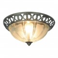 Потолочный светильник Arte Lamp 16 A1306PL-2AB