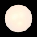 Потолочный светильник ST Luce Bagno SL468.502.03
